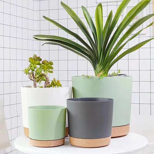 Indoor Flowerpots With Drainage for Indoor Planting - Urban Groove